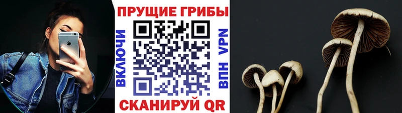 дарнет шоп  MEGA зеркало  Галлюциногенные грибы GOLDEN TEACHER  Истра 