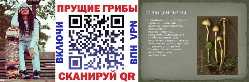 Псилоцибиновые грибы мухоморы Истра