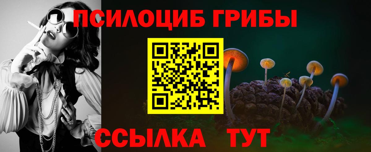 Псилоцибиновые грибы GOLDEN TEACHER  Вход с VPN  Псилоцибиновые грибы мицелий  Истра 