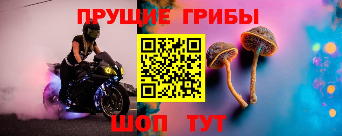 Галлюциногенные грибы Cubensis Истра